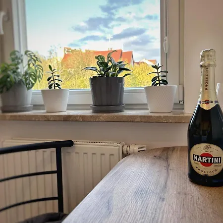 Cozy Hill Modern Box Apartament
